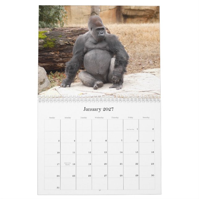 Gorilla_018, Gorilla Kalender (Jan 2027)