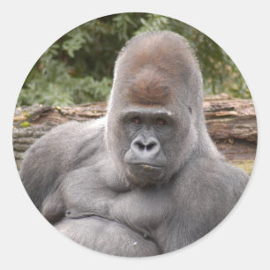 Gorilla_021 Runder Aufkleber