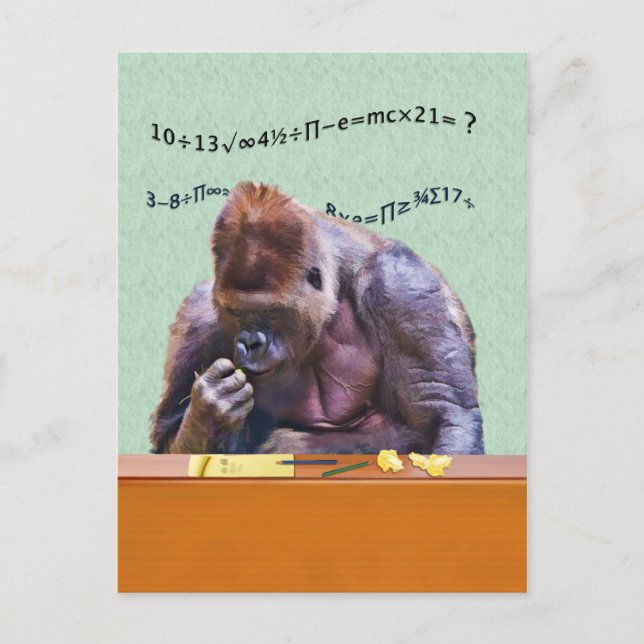 Gorilla auf der Postkarte (Vorderseite)