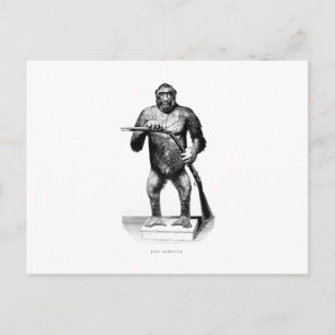 Gorilla aus dem 19. Jahrhundert - Vorlage für Affe Postkarte