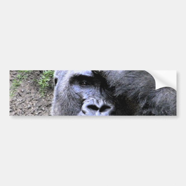 Gorilla_ Autoaufkleber (Vorne)