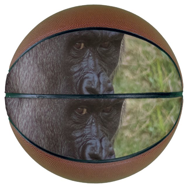 Gorilla Basketball (Vorderseite)