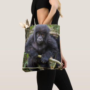Gorilla Beringei Beringei des Berggorilla-