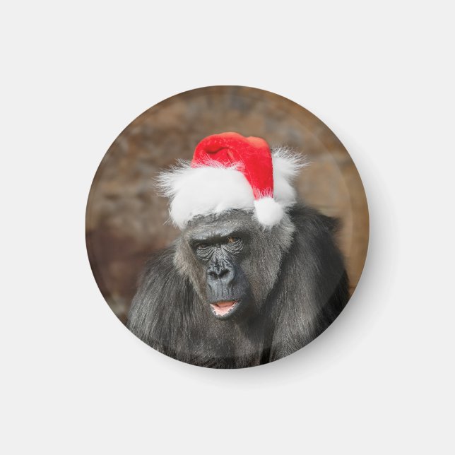 Gorilla Biddy in einem Weihnachtshut Magnet (Vorne)