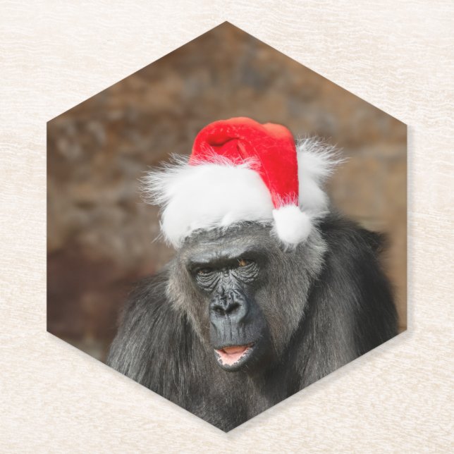 Gorilla Biddy in einem Weihnachtshut Untersetzer (Vorderseite)