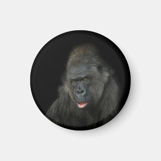 Gorilla Biddy Magnet (Vorne)