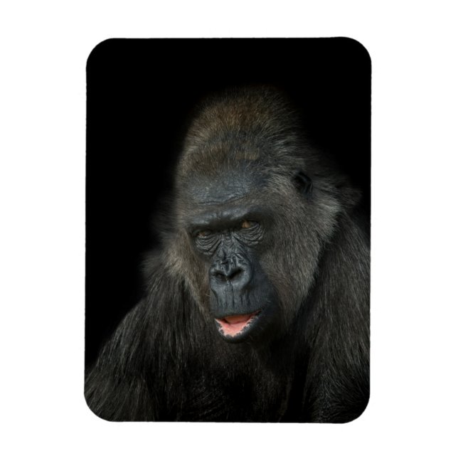 Gorilla Biddy Magnet (Vertikal)