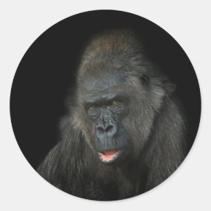 Gorilla Biddy Runder Aufkleber