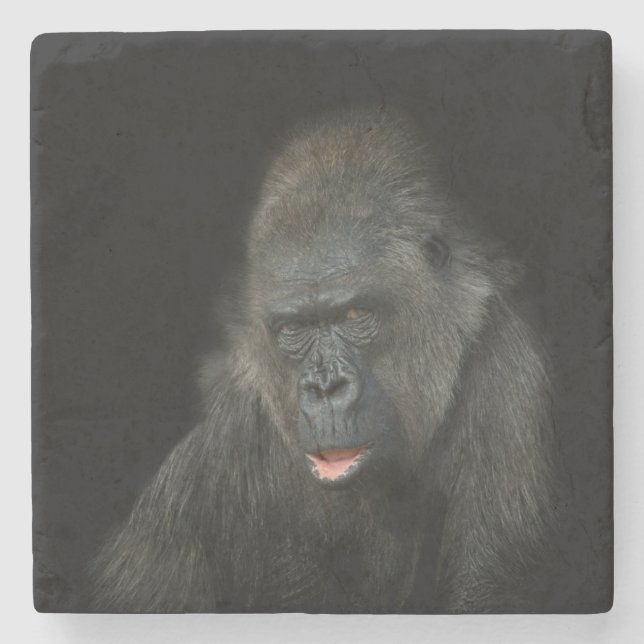 Gorilla Biddy Steinuntersetzer (Vorderseite)