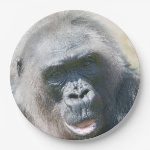 Gorilla Biddy's Silver Glow in der Sonne Pappteller