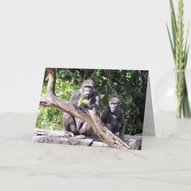 Gorilla Birthday Card Karte (Vorderseite)