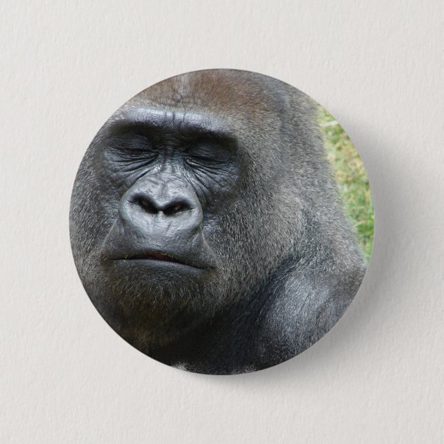 Gorilla-Blick-Knopf Button (Vorderseite)