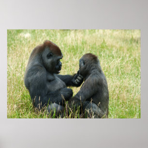 Gorilla Brothers Forever Poster