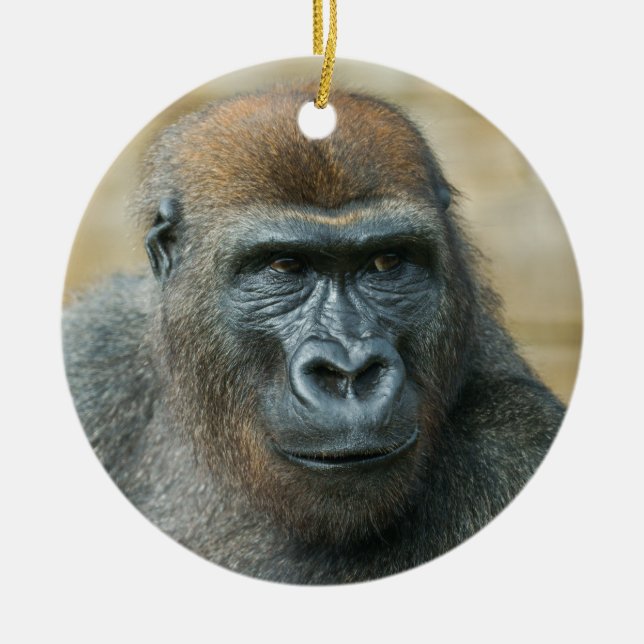 Gorilla Brothers - GoBro Keramik Ornament (Vorne)