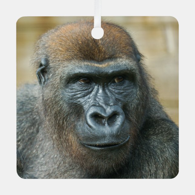 Gorilla Brothers - GoBros Ornament Aus Metall (Vorderseite)