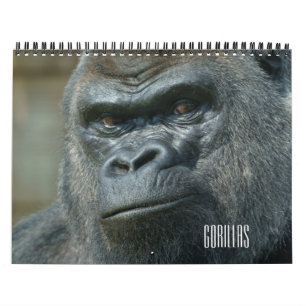 Gorilla Calendar Kalender