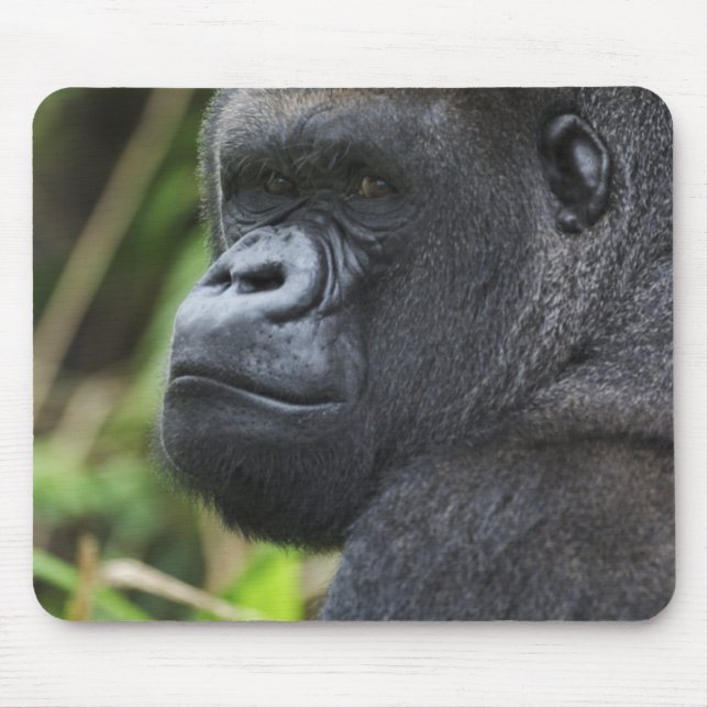 Gorilla Captive Mousepad (Vorne)