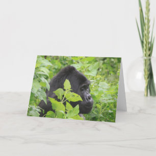 Gorilla Card - Leere auf der Innenseite Karte