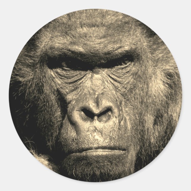 Gorilla Classic Round Sticker (Vorderseite)