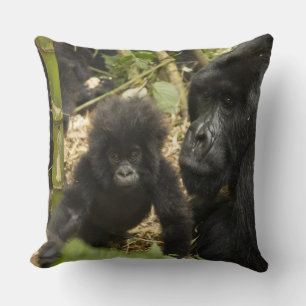 Gorilla, erwachsen mit jung kissen