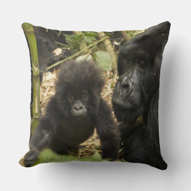 Gorilla, erwachsen mit jung kissen (Vorderseite)
