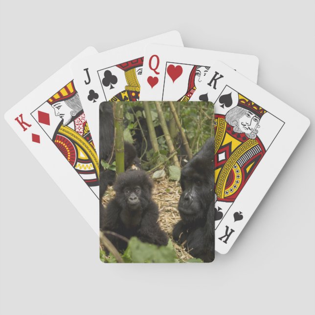 Gorilla, erwachsen mit jung spielkarten (Rückseite)