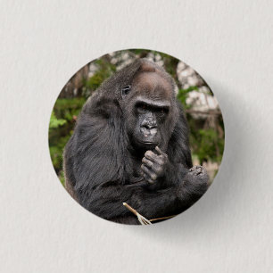 Gorilla F 8672 Button