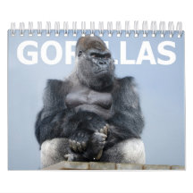 Gorilla-Familie 2027 - Silberrücken-Oumbi-Truppe
