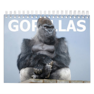 Gorilla-Familie 2027 - Silberrücken-Oumbi-Truppe Kalender