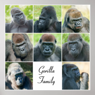Gorilla Family Poster