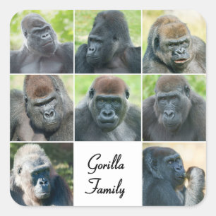 Gorilla Family Quadratischer Aufkleber