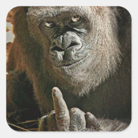 Gorilla Finger