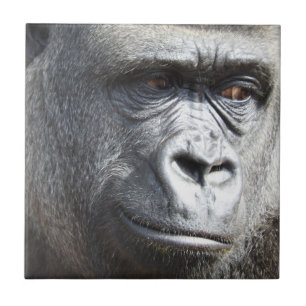 Gorilla-Fliese Fliese