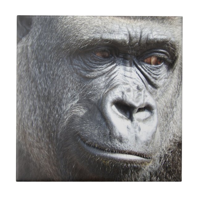 Gorilla-Fliese Fliese (Vorderseite)