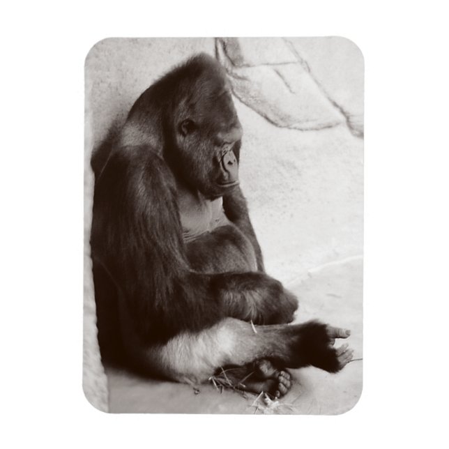 Gorilla Fotografy Sleeping Magnet (Vertikal)