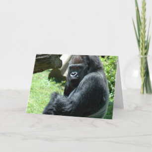Gorilla Glare Grußkarte Karte