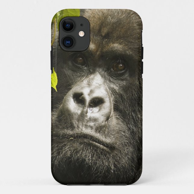 Gorilla, Gorilla beringei beringei, Case-Mate iPhone Hülle (Rückseite)