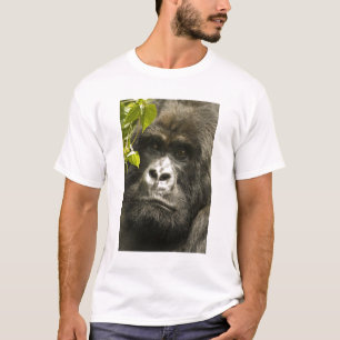 Gorilla, Gorilla beringei beringei, T-Shirt