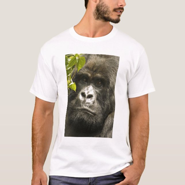 Gorilla, Gorilla beringei beringei, T-Shirt (Vorderseite)