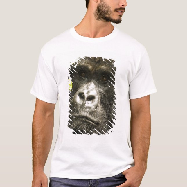 Gorilla, Gorilla beringei beringei, T-Shirt (Vorderseite)