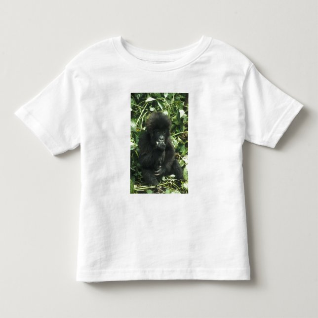 Gorilla (Gorilla gorilla beringei) Kleinkind T-shirt (Vorderseite)