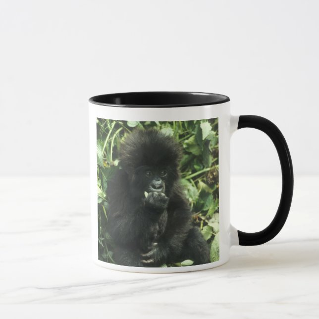 Gorilla (Gorilla gorilla beringei) Tasse (Rechts)