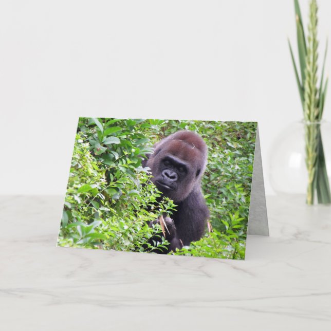 Gorilla Greeting Card Karte (Vorderseite)