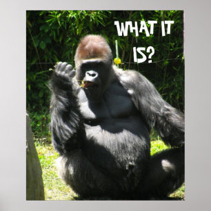 GORILLA GREETING Poster