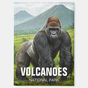 Gorilla in Volcanos Nationalpark Ruanda Reise Magnet