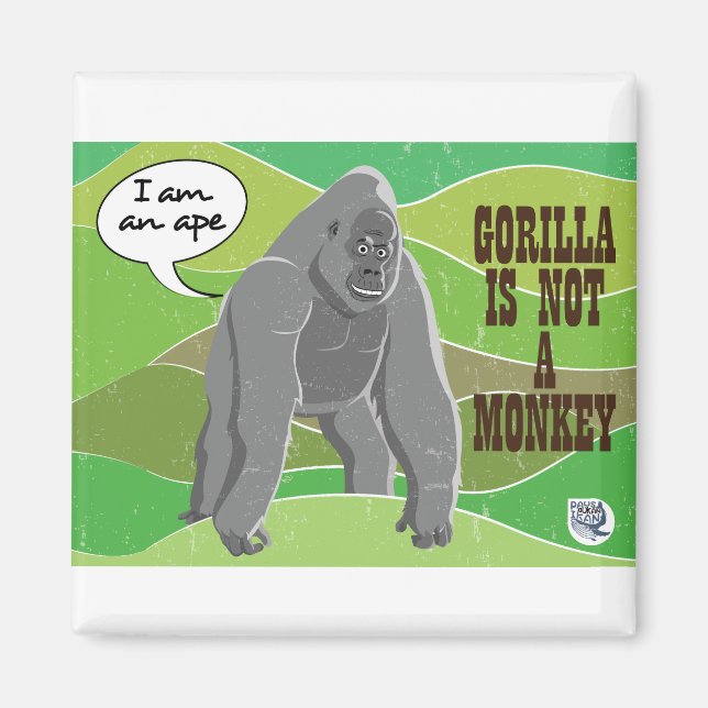 Gorilla ist kein Affe Magnet (Vorne)