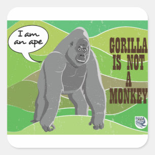 Gorilla ist kein Affe Quadratischer Aufkleber