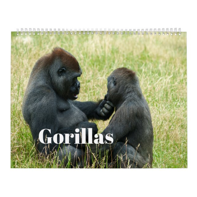 Gorilla-Kalender 2026 Kalender (Titelbild)