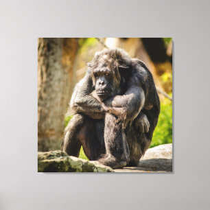Gorilla Leinwanddruck