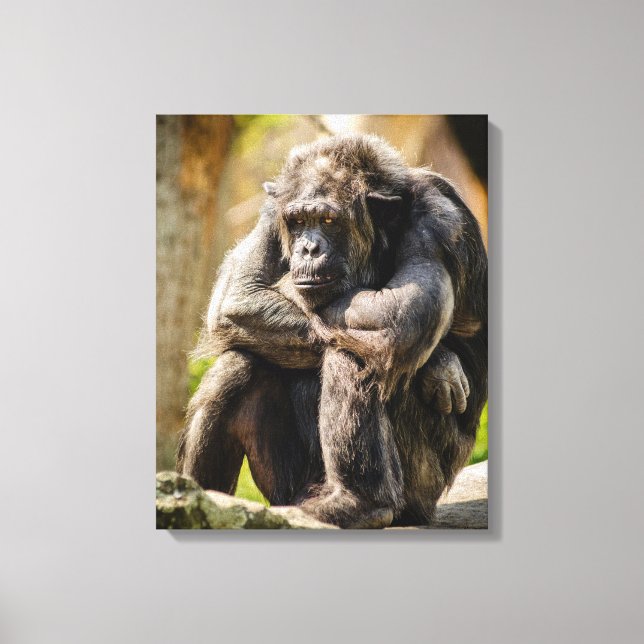 Gorilla Leinwanddruck (Vorderseite)
